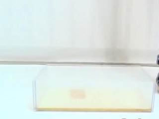 Watersports teen urinates in container