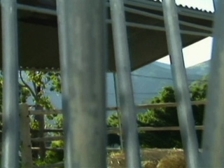 Good brunette with huge boobs fucking four wmv