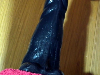 Anal madness – ep. two