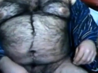 Big hairy bear and hairy body