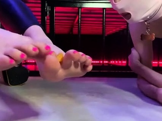 Fetish Chateau Studio – This slave will eat from Mistress