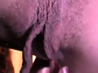 Thought I’d Seen it All 17