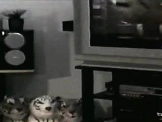 Seduced Black str8 dude assdrilled by gay in hairy asshole